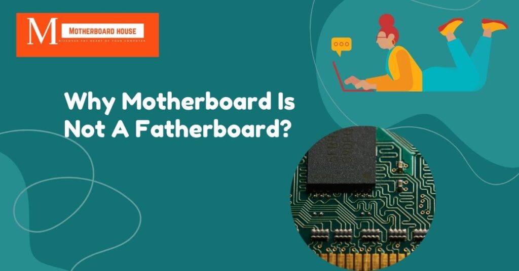 Why Motherboard Is Not A Fatherboard?